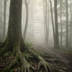 You Are Not Lost You Are Learning the Map Rolled Poster | Anxiety Affirmation Wall Art | Motivational Print for Bedroom Office Decor |