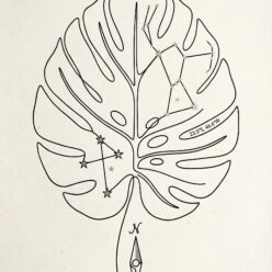 Your Growth Pattern is Written in the Stars Rolled Poster Print | Botanical Illustration Wall Art | Celestial Home Decor | Living Room