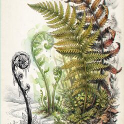 Your Slow Growth Is Actually Speed Framed Paper Print | Botanical Illustration Wall Art | Inspirational Quote Home Decor Gift